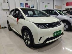 BYD Dolphin 420km Freedom Edition - ფოტო 3