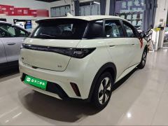 BYD Dolphin 420km Freedom Edition - ფოტო 6