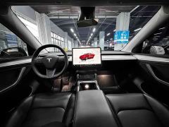Tesla Model Y Rear-Wheel Drive - ფოტო 12