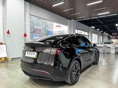 Tesla Model Y Rear-Wheel Drive - ფოტო 14
