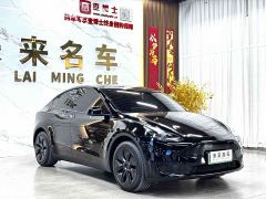 Tesla Model Y Rear-Wheel Drive - ფოტო 3