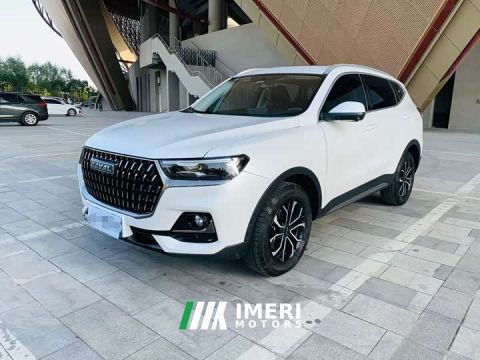 2024 Haval H6 National Trend Edition 1.5T Automatic Urban Version