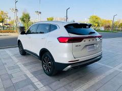Haval H6 National Trend Edition 1.5T Automatic Urban Version - ფოტო 4