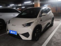 BYD Seagull Smart Driving Edition 405km Flying Edition - ფოტო 1