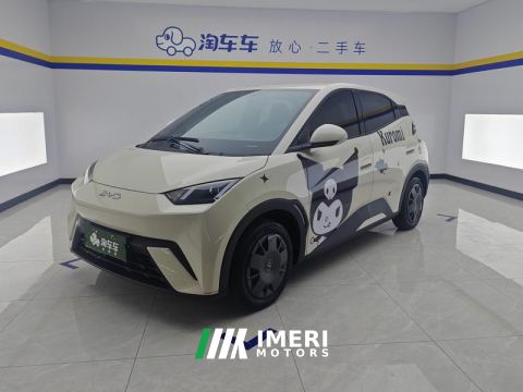 2024 BYD Seagull Honor Edition 305km Vitality Edition