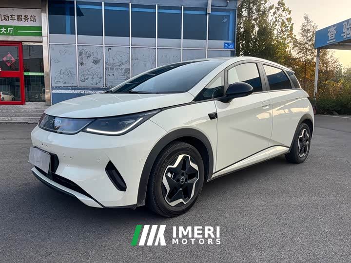 BYD Dolphin Smart Drive 420km Freedom Edition - автомобиль из Китая