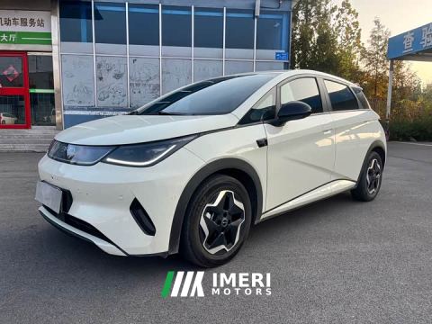 2025 BYD Dolphin Smart Drive 420km Freedom Edition - ავტომობილი ჩინეთიდან