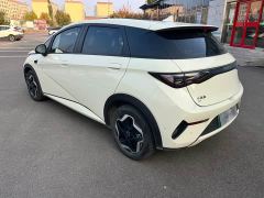 BYD Dolphin Smart Drive 420km Freedom Edition - фото 10