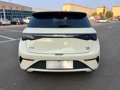 BYD Dolphin Smart Drive 420km Freedom Edition - фото 16