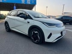 BYD Dolphin Smart Drive 420km Freedom Edition - фото 3