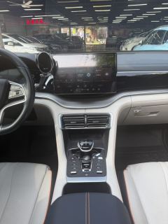 BYD Song PLUS DM-i110KM Flagship - ფოტო 11