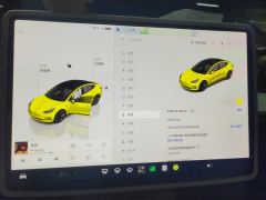 Tesla Model 3 556km Rear-Wheel Drive Edition - ფოტო 20