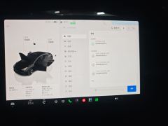 Tesla Model 3 556km Rear-Wheel Drive Edition - photo 14