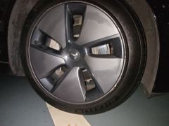 Tesla Model 3 556km Rear-Wheel Drive Edition - photo 8