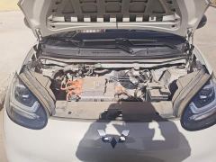 Wuling Binguo 203km Light Enjoy Edition - photo 10