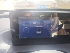 Wuling Binguo 203km Light Enjoy Edition - photo 14