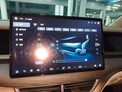 Denza D9 DM-i 970 AWD Flagship - photo 12