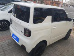 Geely Galaxy Panda mini 200km Endurance Bear - ფოტო 2