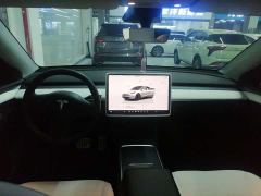 Tesla Model Y Performance All-Wheel Drive - ფოტო 9