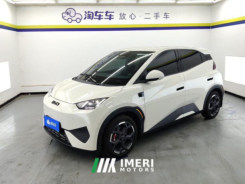 BYD Seagull Smart Driving Edition 305km Free Version