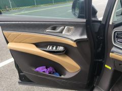 Denza D9 DM-i 1.5T 190km 4WD Premium 7-seater - ფოტო 12