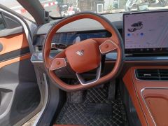 Neta L EREV Edition 310km Edition - ფოტო 18