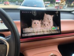Leapmotor Leapo C10 EREV 210km 210 Smart Edition - photo 17
