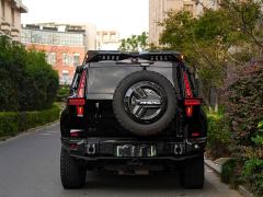 Dongfeng Mengshi 917 EREVMax - ფოტო 9