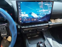 Haval Big Dog PLUS 2.0T AWD Trendy Wilderness Plus - ფოტო 5