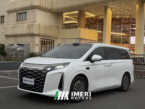 2025 BYD Summer DM-i 1.5T 218KM Excellence Edition