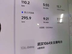 Li Auto L9 Pro - ფოტო 11
