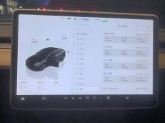 Tesla Model 3 556km Rear-Wheel Drive Edition - ფოტო 20