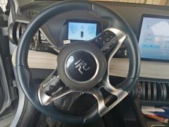 BYD Yuan PLUS 430KM Luxury Edition - ფოტო 18