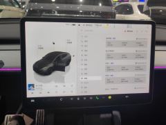 Tesla Model Y 615km Performance High-Performance AWD Version - photo 20