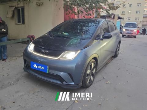 2024 BYD Dolphin Honor Edition 401km Knight Edition - ავტომობილი ჩინეთიდან