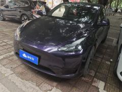 Tesla Model Y 545km Rear-Wheel Drive Edition - фото 1