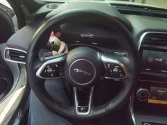 Jaguar XEL P250 Enterprising Sport Edition - ფოტო 18