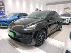 Tesla Model Y Rear-Wheel Drive - ფოტო 1