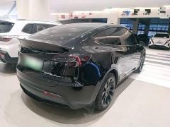Tesla Model Y Rear-Wheel Drive - ფოტო 6
