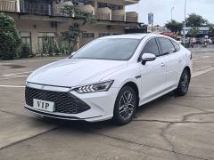 BYD Qin Plus DM-i 120KM Luxury - ფოტო 2