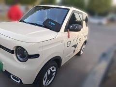 Geely Panda Mini 210km Vitality Edition - ფოტო 1