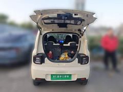 Geely Panda Mini 210km Vitality Edition - ფოტო 15