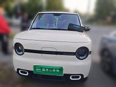 Geely Panda Mini 210km Vitality Edition - ფოტო 2