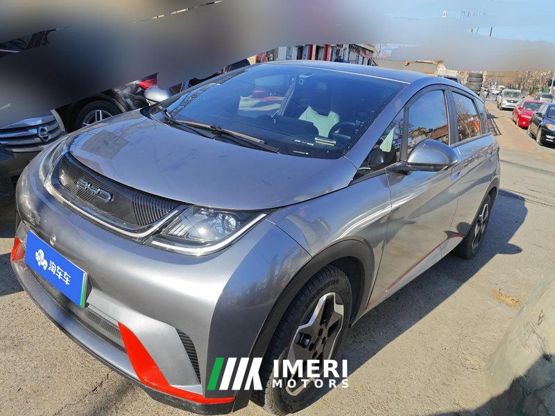 BYD Dolphin 405km Free Version