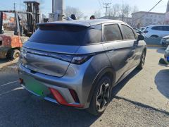 BYD Dolphin 405km Free Version - ფოტო 2