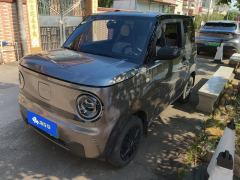 Geely Galaxy Panda mini 200km Endurance Bear - photo 1