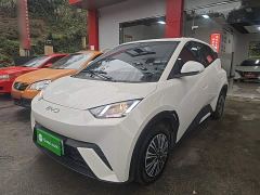 BYD Seagull 305km Vitality Edition - ფოტო 1
