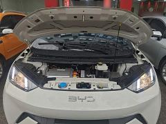 BYD Seagull 305km Vitality Edition - ფოტო 19