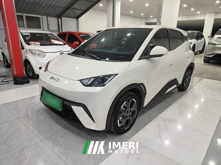 BYD Seagull 305km Freedom Edition