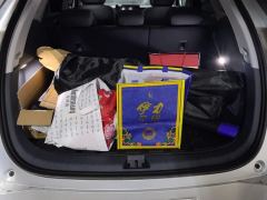 BYD Sealion 06 DM-i 1.5L 310 Flagship Edition - photo 7